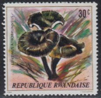 Delcampe - Ruanda Mi.Nr. 1052A Pilze, Lentinus Atrobrunneus (30) - Sonstige & Ohne Zuordnung