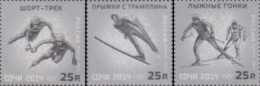 Delcampe - Russland Mi.Nr. 1761-63 I Olympia 2014 Sotschi (3 Werte) - Autres & Non Classés