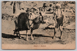 Delcampe - Bhisti & Bullock Carte Postale Postcard - Indien