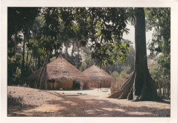 Delcampe - Afrique - Senegal - Casamance  - Village Sous Les Fromagers - 15455 - Senegal