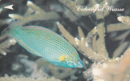 Delcampe - SINGAPORE(GPT) - Fish, Colourful Wrasse, CN : 28SIGB/B, Used - Singapur