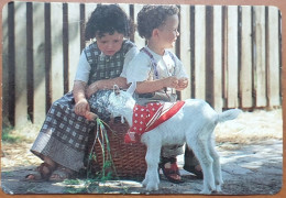 Delcampe - Portugal - Pocket Calendar - 1999 - Theme: Food And Food Products / Meats; CARNES J - Parede - Kleinformat : 1991-00
