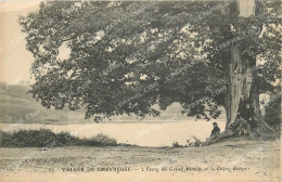 Delcampe - CPA Vallee De Chevreuse L'Etang Du Grand Moulin Et Le Chene Creux - Chevreuse