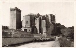 Delcampe - [-10%] FRANCE - Montmajour - Abbaye XIIe Siècle - Troupeau - Chèvre - Faune - An - Arles