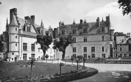 Delcampe - [-10%] FRANCE - Amboise - Châteaux - Façades Charles VII Et Louis XII - Ed Cim - - Amboise