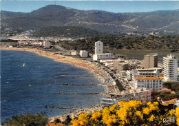 Delcampe - 83-LE LAVANDOU-N°1031-A/0303 - Le Lavandou