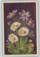 Delcampe - Hepatica Triloba Blume Künstlerkarte - 12046541 - Blumen