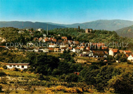 Delcampe - Seebach Bad Duerkheim Panorama - Bad Dürkheim