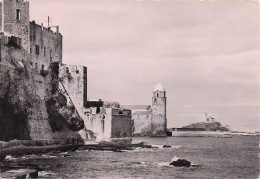 Delcampe - 66 COLLIOURE LES TEMPLIERS LE CLOCHER ET LA CHAPELLE ST VINCENT - Collioure