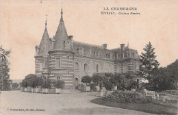 Delcampe - 51 EPERNAY CHATEAU MERCIER - Epernay