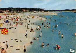Delcampe - 40 Mimizan La Plage Sur Le Courant 3 / MP7120 - Mimizan
