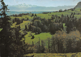 Delcampe - 25-LE MONT D OR-N°C4101-D/0189 - Sonstige & Ohne Zuordnung