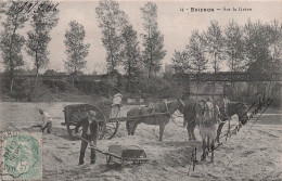 Delcampe - 89 BRIENON SUR ARMANCON SUR LA GREVE - Brienon Sur Armancon
