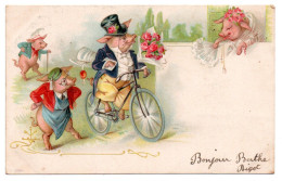 Delcampe - Cochons Faisant La Cour. Fantaisie - Schweine