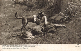 Delcampe - [-5%] MILITARIA - Chien Ambulancier - Croix Rouge - Blessé - Soldat - Champ - 1915 - Carte Postale Ancienne - Weltkrieg 1914-18