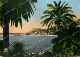 Delcampe - CPM Menton Vue Generale Prise Depuis La Frontiere Franco Italienne - Menton
