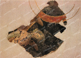 Delcampe - CPM Musee Archeologique Saintes - Saintes
