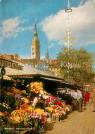 Delcampe - Muenchen Bayern Viktualienmarkt Marktstand Maibaum - München