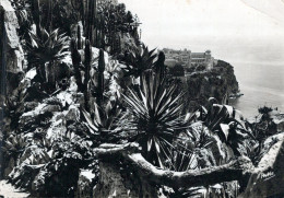 Delcampe - MONACO - Monte-Carlo, Jardins Exotiques Et Rocher De Monaco - CPSM - Non Circulée - Exotischer Garten