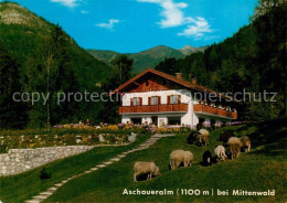 Delcampe - Mittenwald Bayern Aschaueralm - Mittenwald