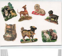 Delcampe - DECOUPIS - S01417 - Ensemble De 6 Découpis - Chiot - Chiens De Différentes Races - Support 15x10cm - Animaux