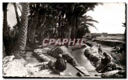 Delcampe - Algerie Biskra CPA Constantine Vers Mcid - Constantine
