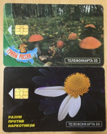 Delcampe - Russia: 2 Different Used Chip Phonecards (views From Both Sides): Moscow. Nature. Lot Mos #11. - Russie