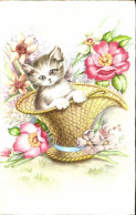 Delcampe - CPA Chat Chaton - Gatos