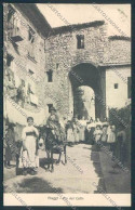 Delcampe - Frosinone Fiuggi ABRASA Cartolina MV1375 - Frosinone