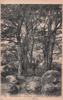 Delcampe - 77 BARBIZON LA FORET SENTIER DES BRIGANDS - Barbizon