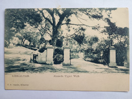 Delcampe - GIBRALTAR Alameda Upper Walk 1900 Postcard V.B. Colombo - Gibraltar