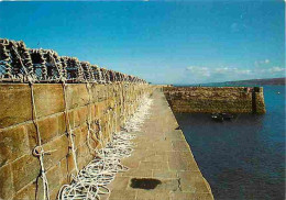 Delcampe - Carte Postale - Metiers - Peche - Pecheur - Prêts Pour Le Prochain Départ - Carte Neuve - CPM - Voir Scans Recto-Verso - - Fishing