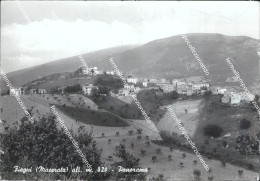 Delcampe - At394 Cartolina Fiegni Panorama Provincia Di Macerata - Macerata