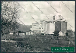 Delcampe - Lucca S.Pietro Vico STRAPPO ADESIVO Foto FG Cartolina MV3884 - Lucca