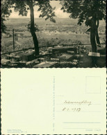 Delcampe - Ansichtskarte Niederpoyritz-Dresden Blick Vom Restaurant 1957 - Dresden