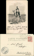 Delcampe - Postcard Biskra بسكرة Biskira Mecharis Chameau Courreur - Kamel 1903 - Biskra