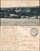 Delcampe - Ansichtskarte Bühlau-Dresden Totale 1915 - Dresden