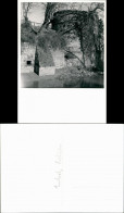 Delcampe - Ansichtskarte Einbeck Dieckturm Ruine 1960 - Einbeck