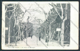 Delcampe - Lucca Viareggio Cartolina MV4079 - Lucca