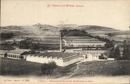 Delcampe - CPA La Croix Aux Mines L'usine Peignage Et Filature De Bourre De Soie - Kunsthandwerk