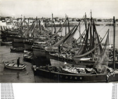 Delcampe - Quiberon - Sardiniers à Port Maria - Quiberon