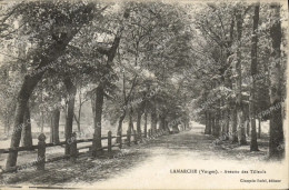 Delcampe - CPA Lamarche Vosges Avenue Des Tilleuls - Lamarche