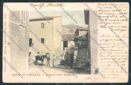 Delcampe - Pisa Bagni Di Casciana PIEGA Cartolina MV4413 - Pisa