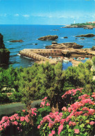Delcampe - 64 BIARRITZ PORT DES PECHEURS - Biarritz