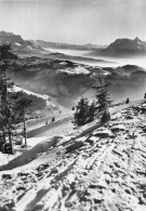 Delcampe - 74 LES GETS COL DES GETS - Les Gets