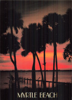 Delcampe - ETATS UNIS MYRTLE BEACH SOUTH CAROLINA - Sonstige & Ohne Zuordnung