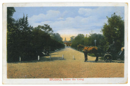 Delcampe - RO 50 - 19640 BUZAU, Park, Romania - Old Postcard - Used - 1917 - Romania