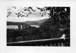 Delcampe - AIGUEBELETTE Le Lac Vu Des Terrasses De L'hotel BEAU SEJOUR 38 (scan Recto Verso)nono0101 - Aiguebelle