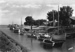 Delcampe - MESCHERS Le Port (SCAN RECTO VERSO)NONO0095 - Meschers