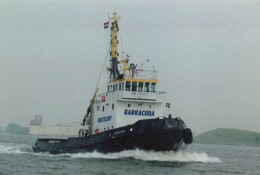 Delcampe - Barracuda Tugboat Postcard Size Real Photo #SDE636 - Schlepper